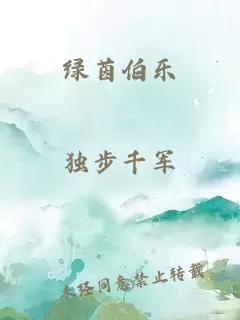绿茵伯乐