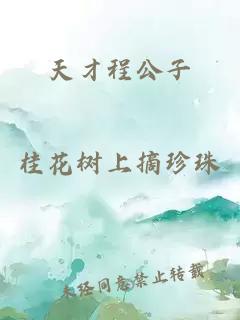 天才程公子