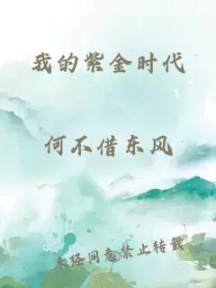 我的紫金时代