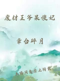 废材王爷呆傻妃