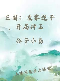 三国：袁家逆子，开局摔玉璽
