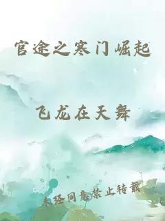 官途之寒门崛起
