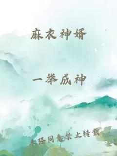麻衣神婿