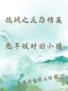 抗战之反恐精英