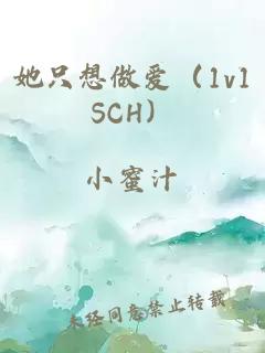 她只想做爱（1v1SCH）