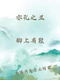 亦孔之丑