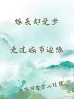 缘来却是梦