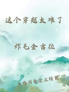 这个穿越太难了