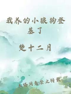 我养的小狼狗登基了