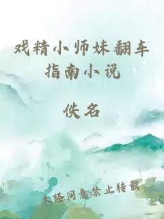 æç²¾å°å¸å¦¹ç¿»è½¦æåå°è¯´