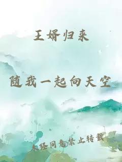 王婿归来