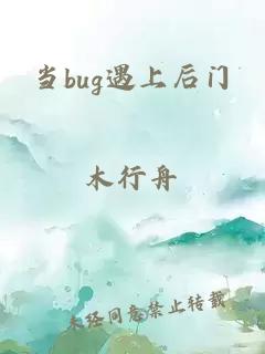 当bug遇上后门