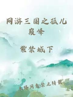 网游三国之孤儿巅峰