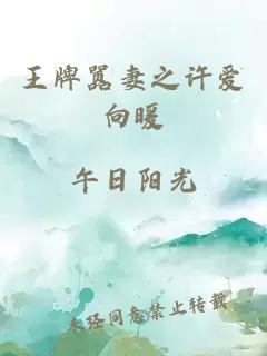 王牌嚣妻之许爱向暖