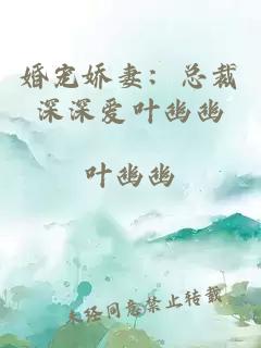 婚宠娇妻:总裁深深爱叶幽幽