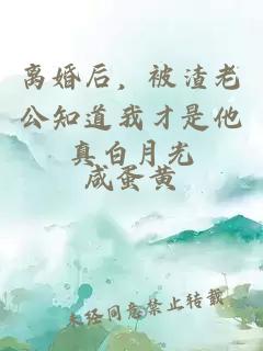 离婚后，被渣老公知道我才是他真白月光