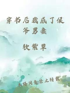 穿书后我成了侯爷男妻