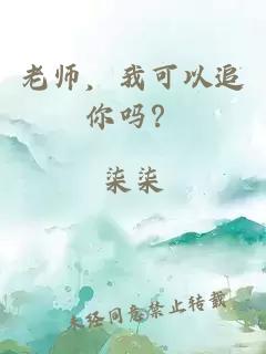 老师，我可以追你吗？