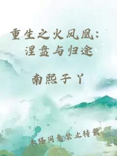 重生之火凤凰：涅盘与归途