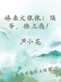 娇妻火辣辣：陆爷，撩上瘾！