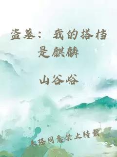 盗墓：我的搭档是麒麟