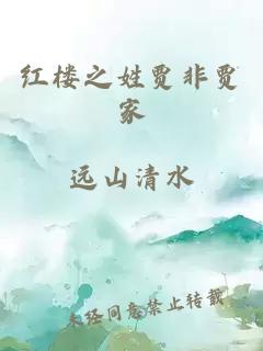 红楼之姓贾非贾家