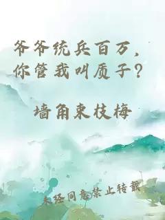 爷爷统兵百万，你管我叫质子？