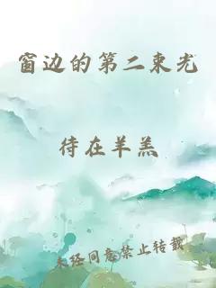 窗边的第二束光