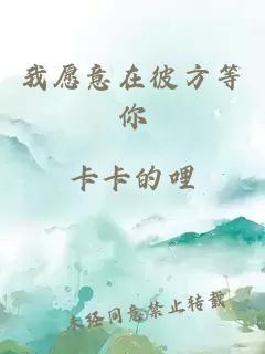 我愿意在彼方等你