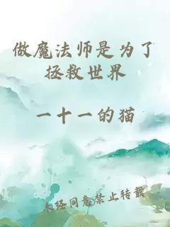 做魔法师是为了拯救世界
