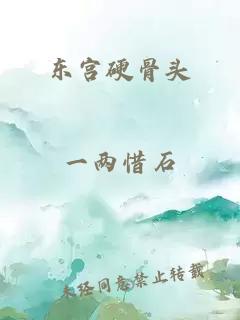 东宫硬骨头