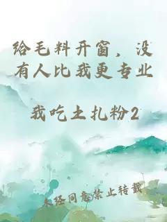 给毛料开窗，没有人比我更专业