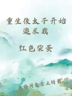 重生後太子开始追求我