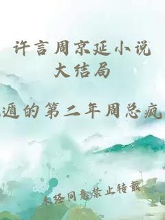 许言周京延小说大结局