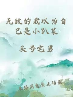 无敌的我以为自己是小趴菜