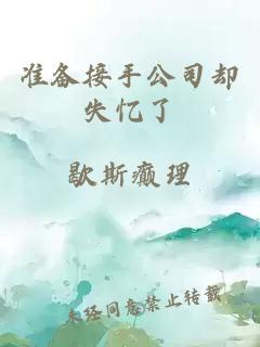 准备接手公司却失忆了