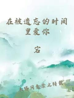 在被遗忘的时间里爱你