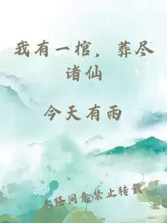 我有一棺，葬尽诸仙