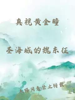 真视黄金瞳