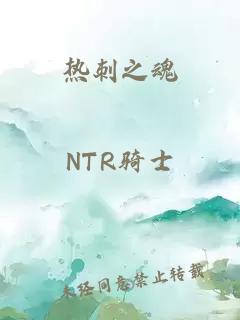 热刺之魂