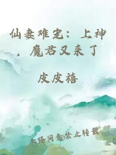 ä»å¦»é¾å® ï¼ä¸ç¥ï¼é­ååæ¥äº