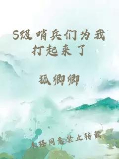 S级哨兵们为我打起来了