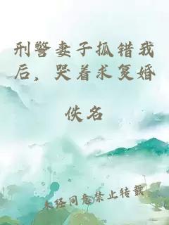 刑警妻子抓错我后，哭着求复婚